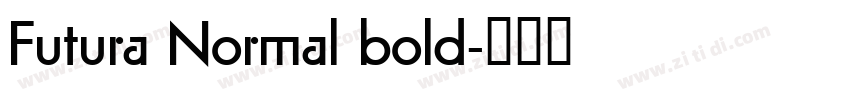 Futura Normal bold字体转换